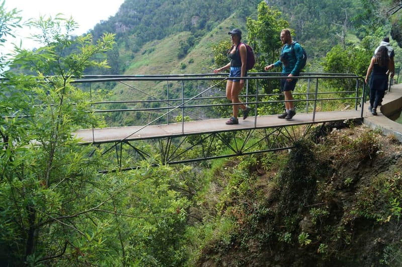 Madeira: Wet your hair in the amazing Levada Nova / Moinhos - Pickup, coffee, and the ride into the hills