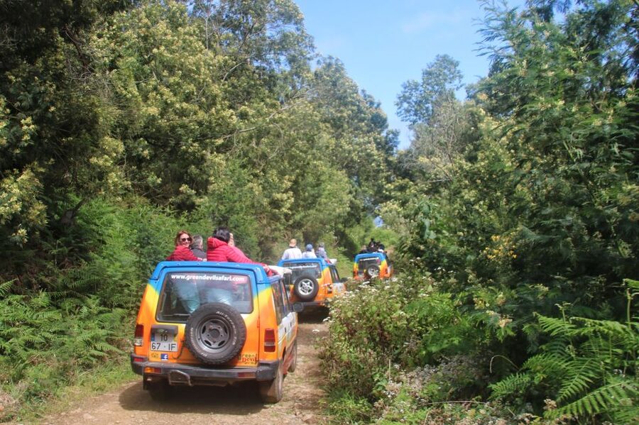 Madeira: Wine & Tapas, Cabo Girão Skywalk 4x4 Jeep Adventure - Who should book this experience?