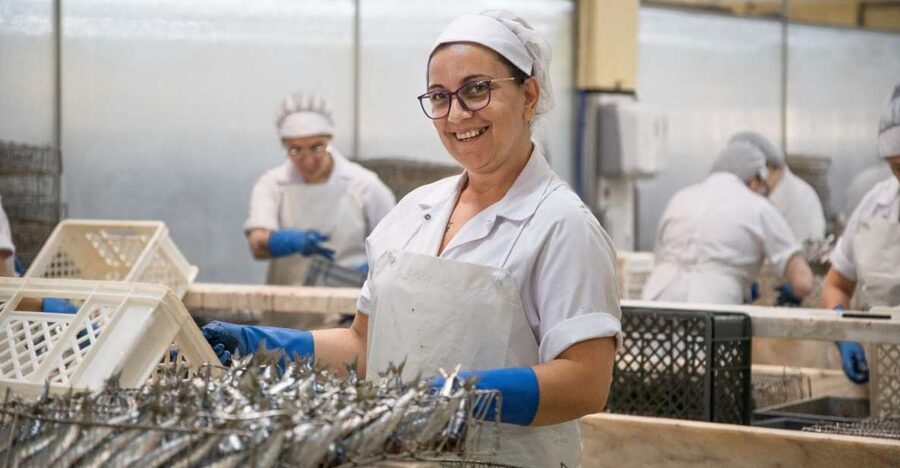 Matosinhos: Conservas Pinhais Factory Tour - Key points to know before booking
