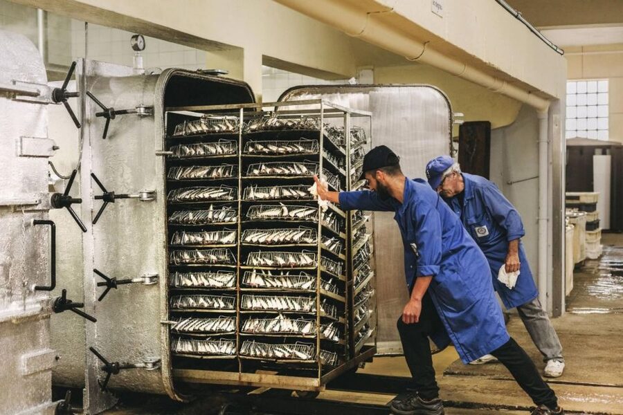 Matosinhos: Conservas Pinhais Factory Tour - Arriving at Av. Menéres 700