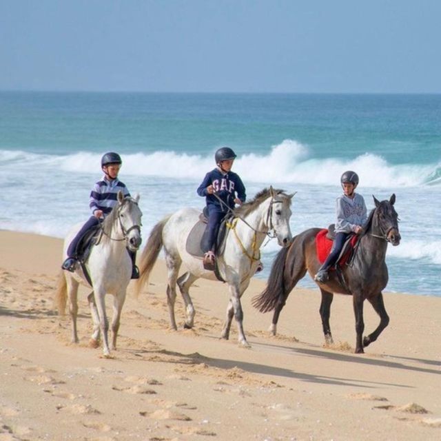 Melides: Horseback Riding on Melides Beach - Timing the ride for the best light