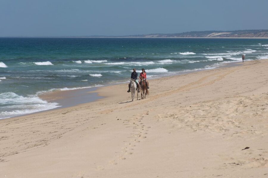 Melides: Horseback Riding on Melides Beach - Languages, group size, and booking flexibility