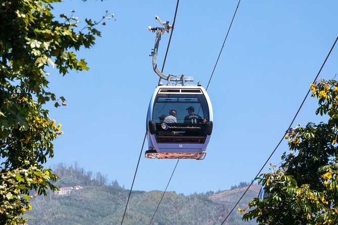 Monte Palace Tropical Garden tour with Cable Car - Why the guide can make a difference