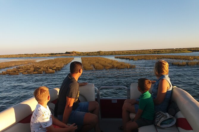 Nature Catamaran Tour from Faro - What You See From the Catamaran