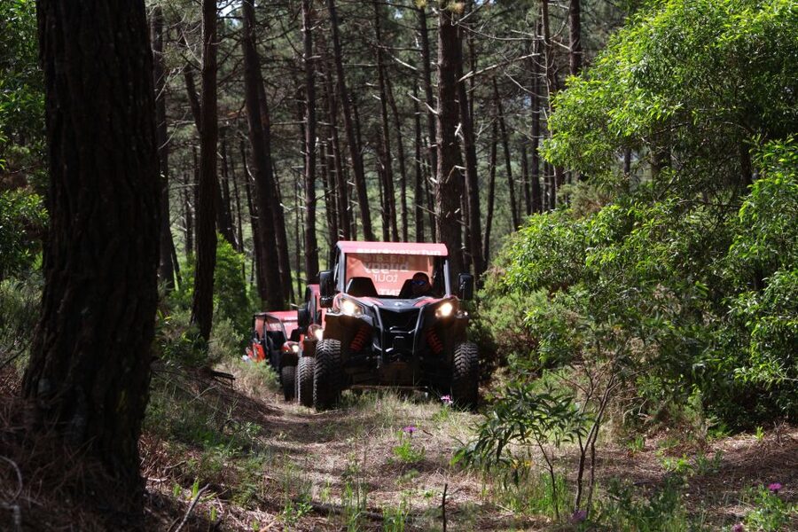 Nazaré: 4x4 Buggy Tour with Guide - Dust, clothing, and comfort