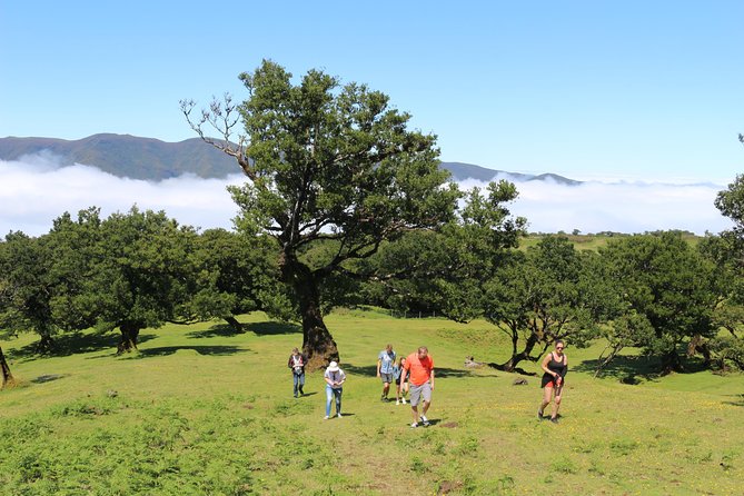 Northwest Terraces and Volcanic Pools 4x4 Full Day Tour - Ribeira da Janela’s short but worthwhile stops