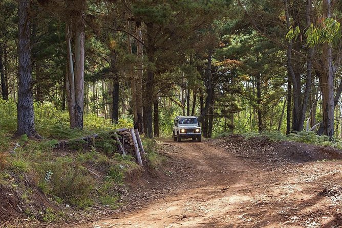 Nun's Valley & Sea Cliff - Half Day - Shared Tour - What the guide can add to the drive