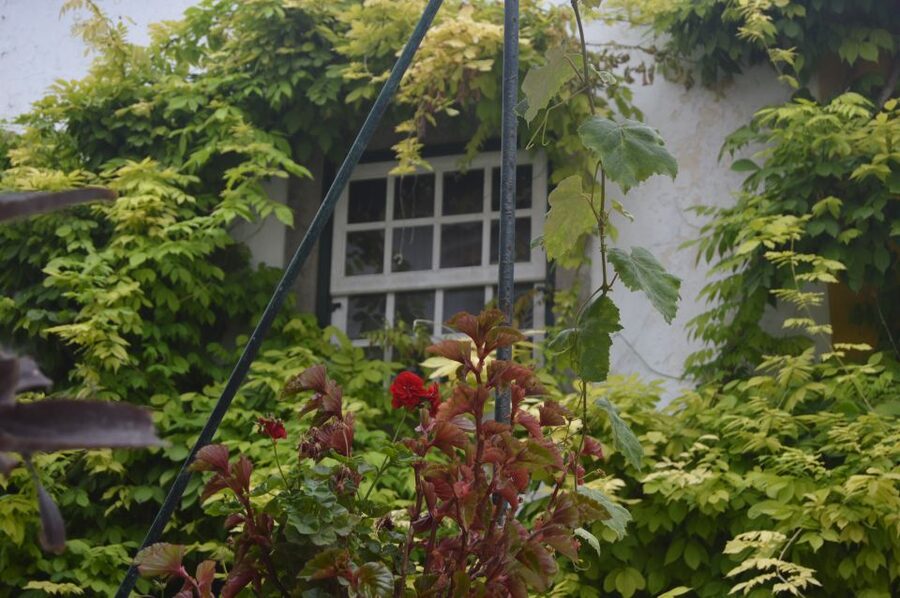 Óbidos: Medieval Tales & Secrets Spots Guided Walking Tour - The Moorish and Jewish neighborhoods