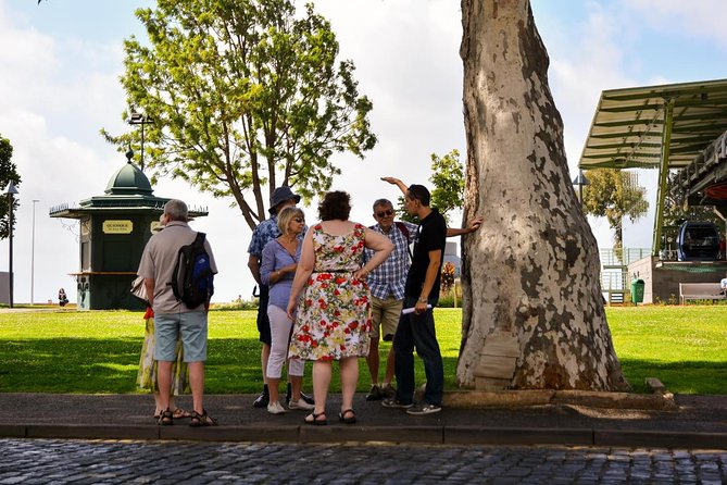 Old Funchal Walking Tour - Why this is a smart first look at Funchal