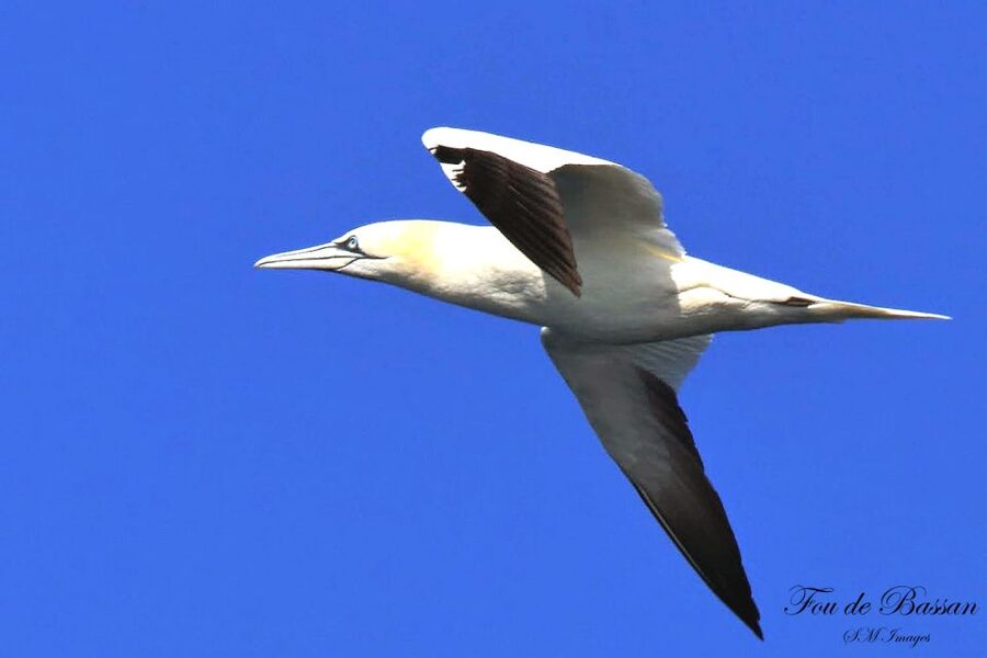 Olhão: 3 Islands Guided Sightseeing Tour with Lunch - Boat Comfort, Safety, and What to Pack