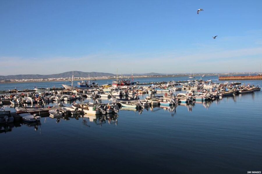 Olhão: 3 Islands Guided Sightseeing Tour with Lunch - How the $88 Price Adds Up