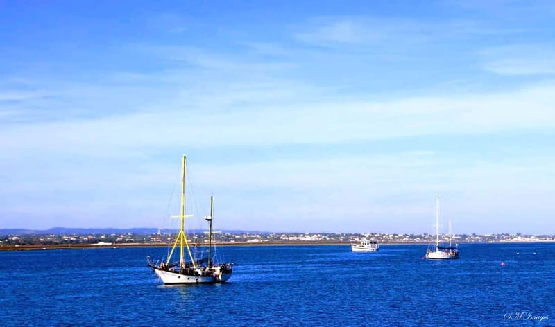 Olhão: Ria Formosa 3 Islands Guided Day Trip by Boat - Practical tips for a smoother day
