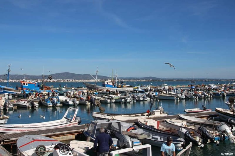 Olhão: Ria Formosa 3 Islands Guided Day Trip by Boat - Who will enjoy this boat trip most?