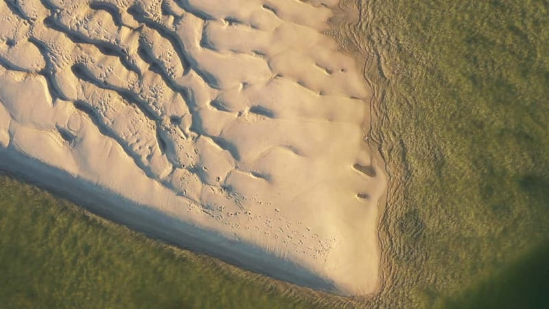 Olhão: Ria Formosa National Park Boat Cruise - Practical details that matter