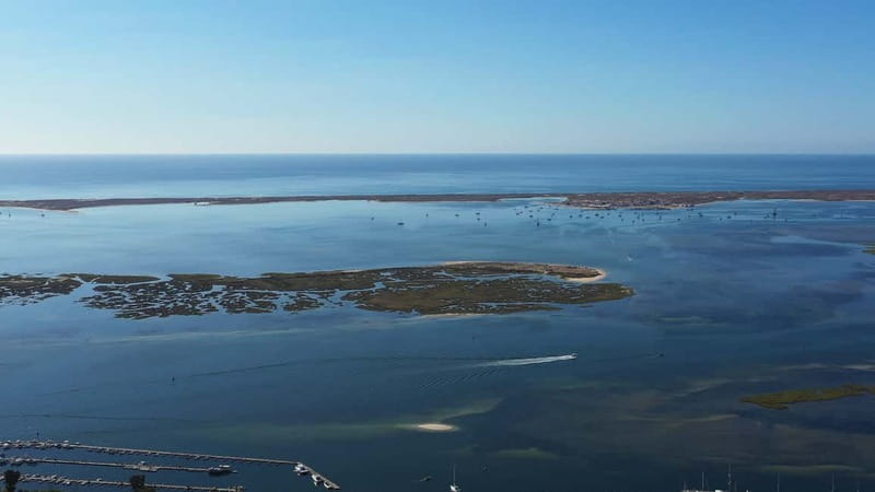 Olhão: Ria Formosa National Park Boat Cruise - Armona Island or Desert Beach for a relaxed break
