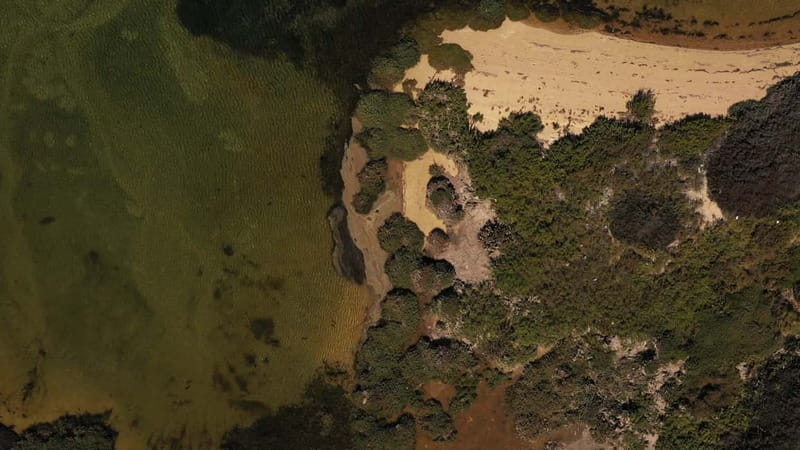 Olhão: Ria Formosa National Park Boat Cruise - Crossing to Culatra, the fishing island