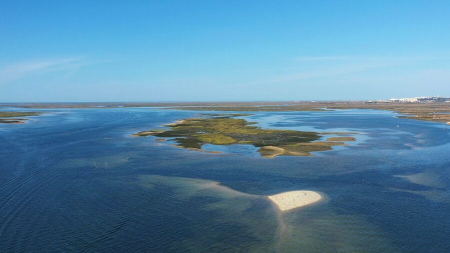 Olhão: Ria Formosa National Park Boat Cruise - What the $34 price delivers