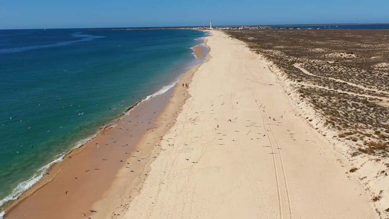 Olhão: Ria Formosa National Park Boat Cruise - The captain makes the difference