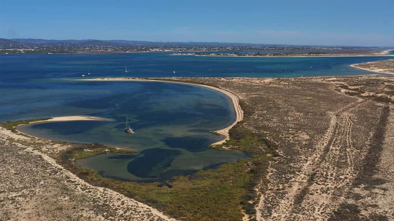 Olhão: Ria Formosa National Park Boat Cruise - Who will enjoy this cruise most