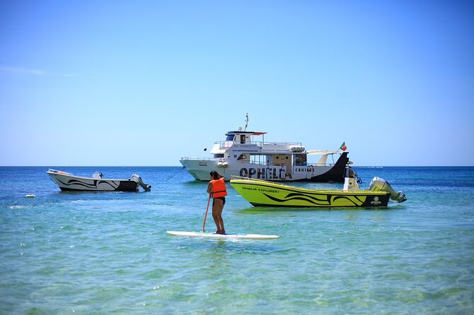 Ophelia Catamaran Cruises + Beach BBQ - Seeing the Benagil Caves Up Close