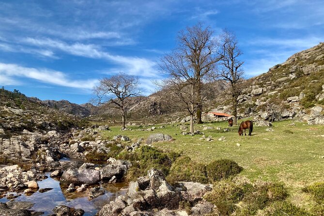 Peneda-Gerês Hiking & Sightseeing: Private Experience - Who will enjoy this Peneda-Gerês day most