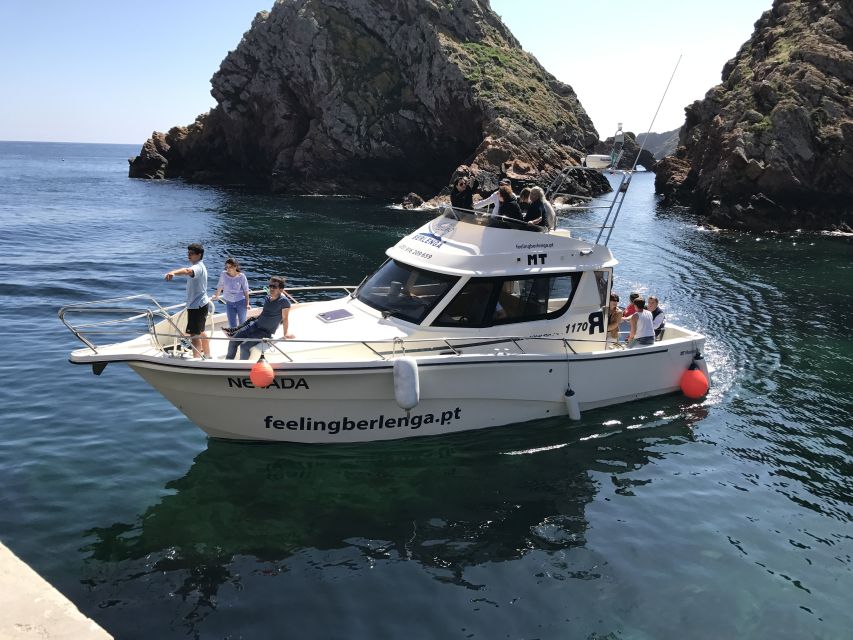 Peniche: Berlenga Island and Cave Tour - Who will enjoy this trip most