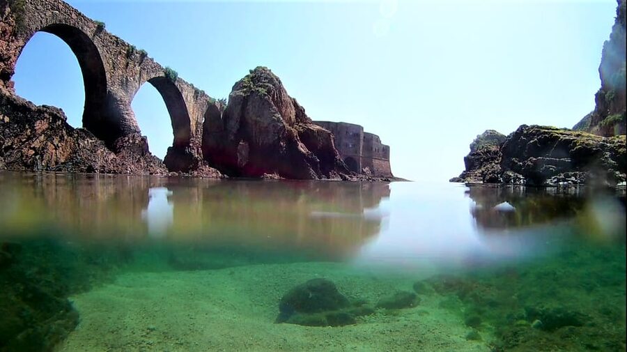 Peniche: Berlengas Island Catamaran Tour + Snorkeling - Who Will Enjoy This Island Trip Most?