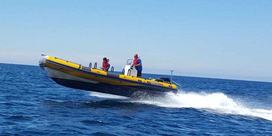 Peniche: Dolphin Route Boat Trip - What to Bring and What to Leave Behind