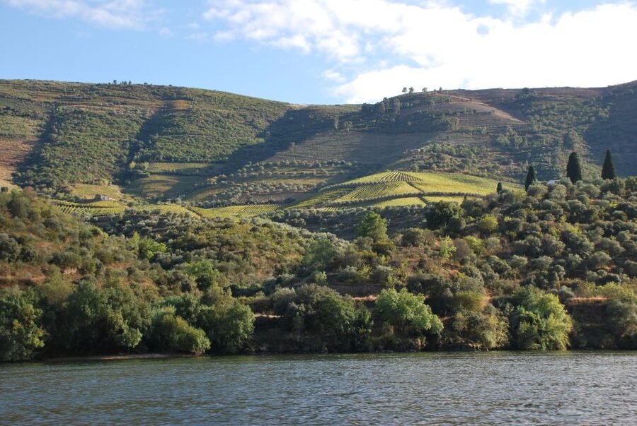 Pinhão: 2-Hour Rabelo Boat Tour with Audio Guide - What you see from Pinhão to Foz Tua