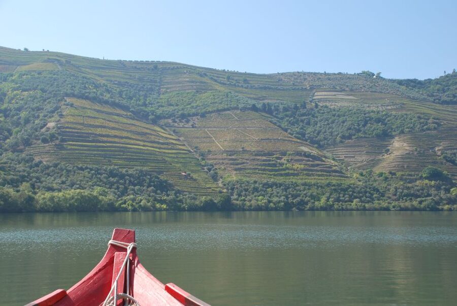 Pinhão: 2-Hour Rabelo Boat Tour with Audio Guide - Who will enjoy this boat tour most?