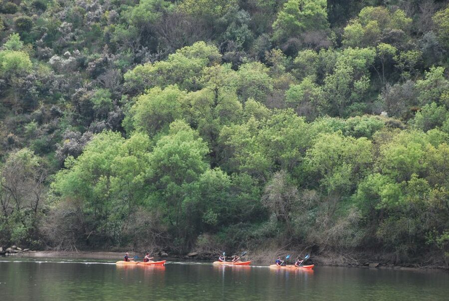 Pinhão: 4 Hour Douro Valley Kayak Rental - Paddling out onto the Douro