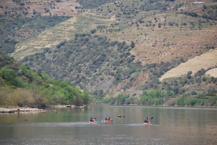 Pinhão: 4 Hour Douro Valley Kayak Rental - Who will enjoy this Pinhão kayak rental