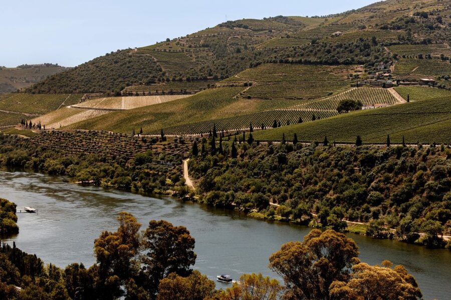 Pinhão: Douro River Boat Tour with Lunch - Pinhão Station and its famous tiles