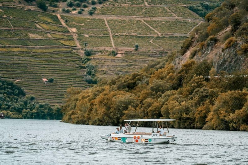 Pinhão: Douro River Solar Boat Tour with Wine Tasting - What the one-hour schedule feels like