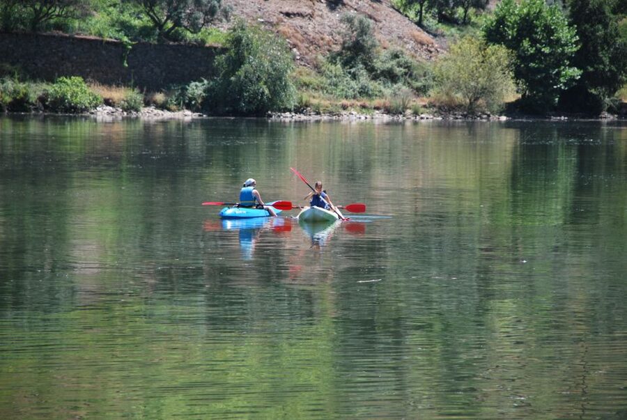 Pinhão: Douro Valley Rabelo Boat Tour and Kayak Experience - Who should book this Pinhão outing