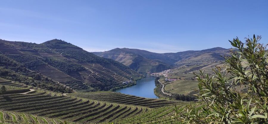 Pinhão: Douro Valley with Wine Tasting, Boat Trip and Lunch - Key points to know before booking