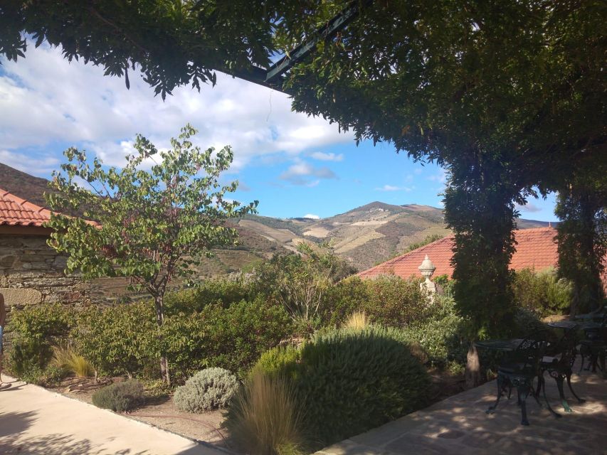 Pinhão: Douro Valley with Wine Tasting, Boat Trip and Lunch - The second winery adds another angle