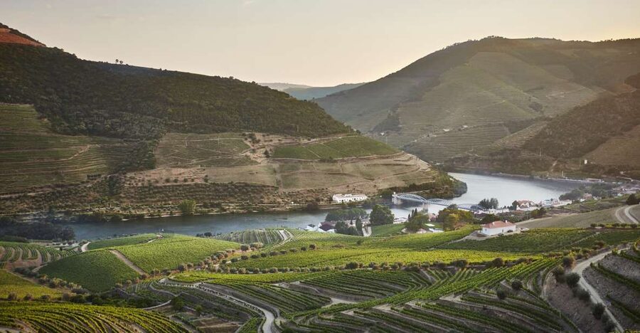 Pinhão: Quinta do Bomfim Visit and Tasting - Choose a vineyard walk with mountain views