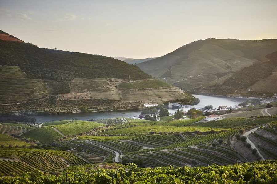 Pinhão: Quinta do Bomfim Visit and Tasting - The museum tells the Douro story first