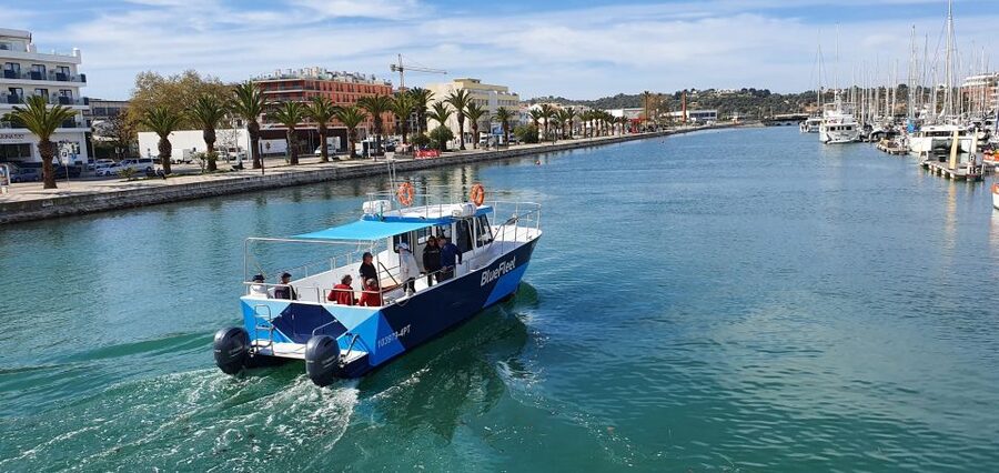 Ponta da Piedade: Half-Day Cruise with Lunch from Lagos - Is the $60 Price Good Value?