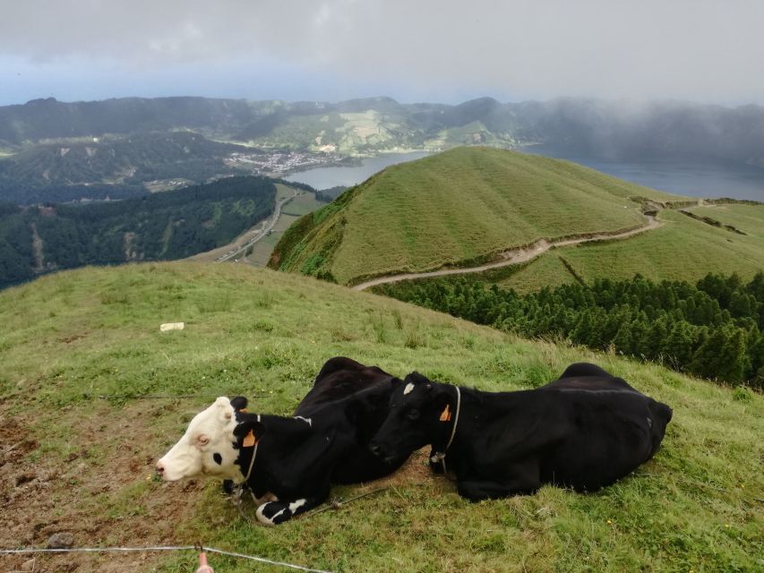 Ponta Delgada: Full-Day Sete Cidades 4X4 Tour with Lunch - Is $106 a fair price?