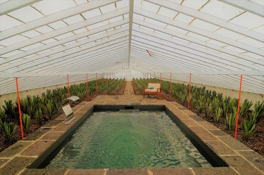 Ponta Delgada: Greenhouse Hot Tube with Pineapple Tour - Arriving at Herdade do Ananás