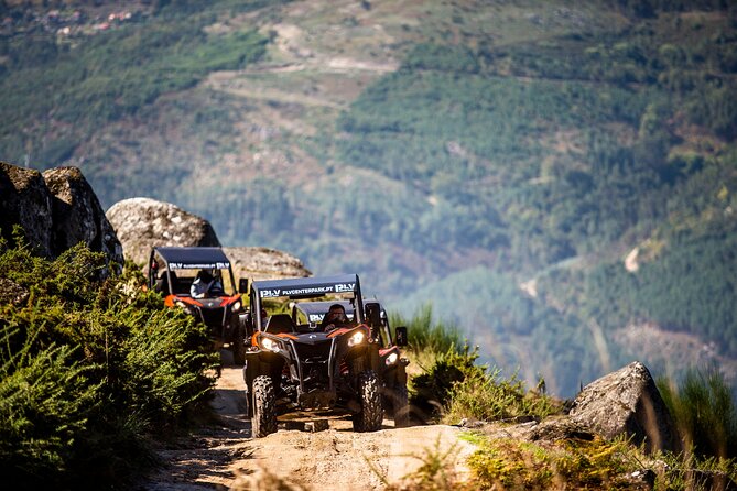 Ponte de Lima Guided Buggy Tour - Why this ride is different from a normal sightseeing tour