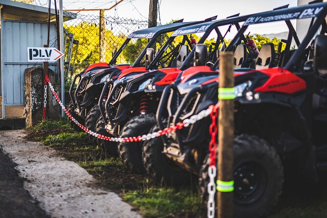 Ponte de Lima Guided Buggy Tour - A guide-led ride with a personal feel