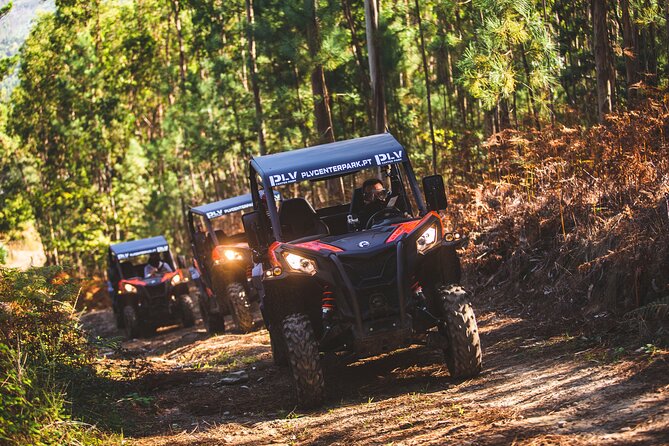 Ponte de Lima Guided Buggy Tour - Who should book this buggy tour?