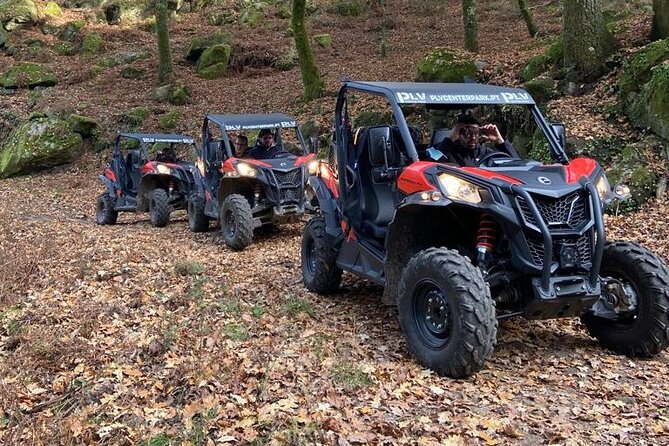Ponte de Lima Guided Buggy Tour - Taking the wheel on mountain tracks