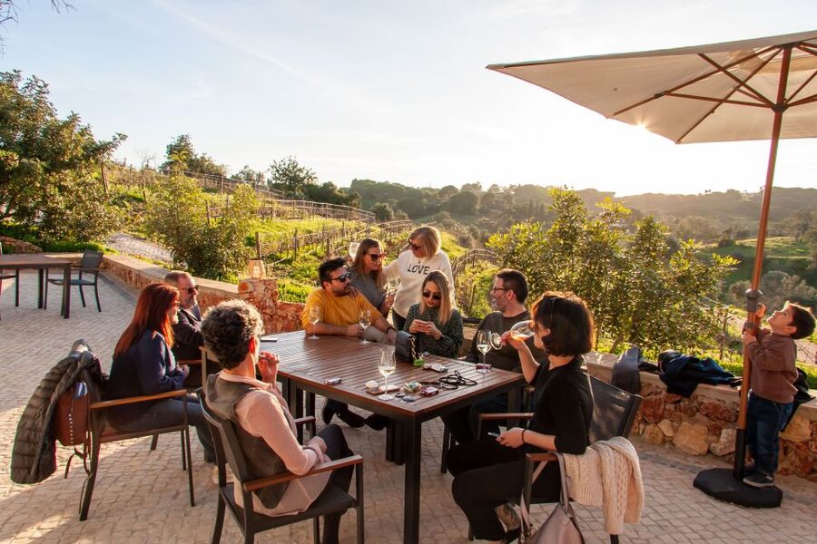 Porches: Algarve Vineyard Tour and Wine Tasting Experience - Key points to know before booking