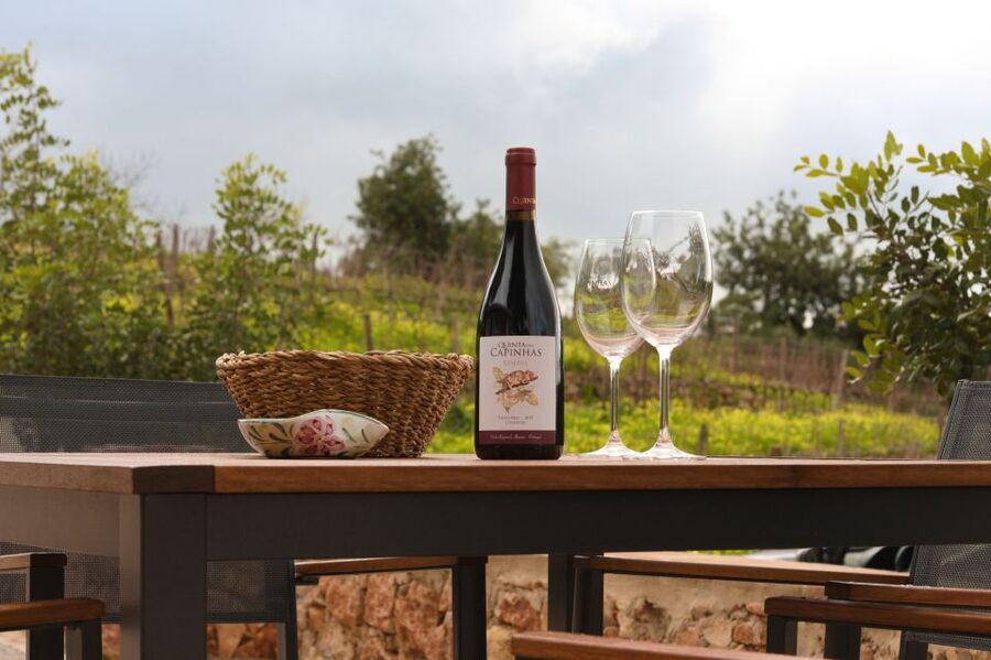Porches: Algarve Vineyard Tour and Wine Tasting Experience - What the guides add to the tasting