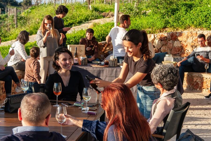 Porches: Algarve Vineyard Tour and Wine Tasting Experience - Timing, weather, and the shape of the visit