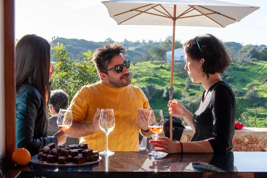 Porches: Algarve Vineyard Tour and Wine Tasting Experience - Is $91 good value?